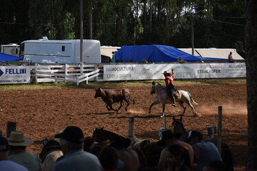 29º Rodeio Crioulo Estadual de Cotiporã