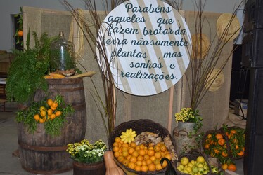 Festa do Colono de Cotiporã